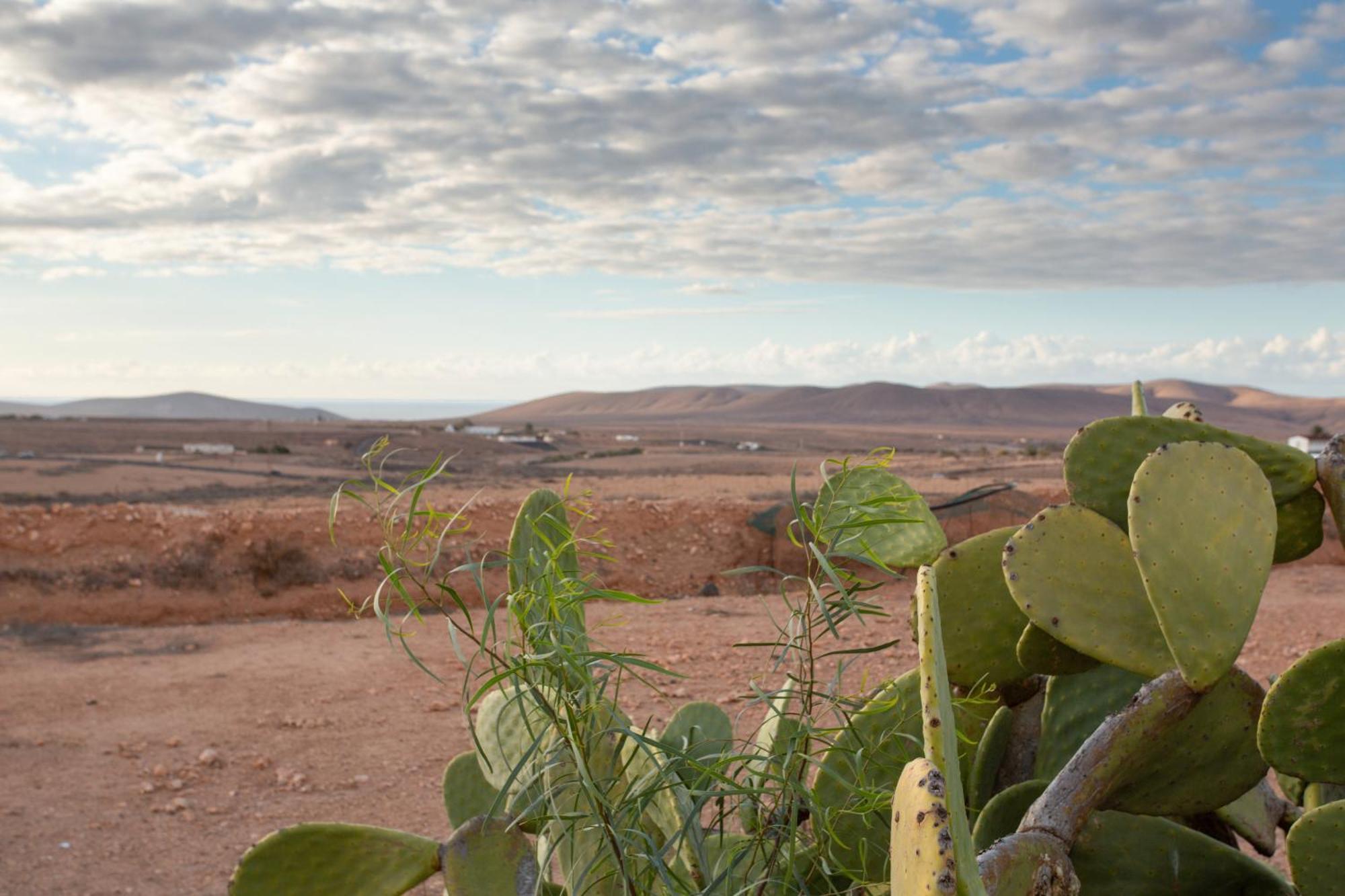 Casa Dayaday Dom wakacyjny Puerto del Rosario (Fuerteventura)